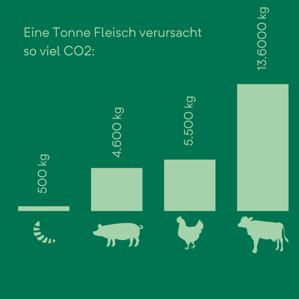 Infografik von gs’hund: So viel CO2 verursacht eine Tonne Fleisch.