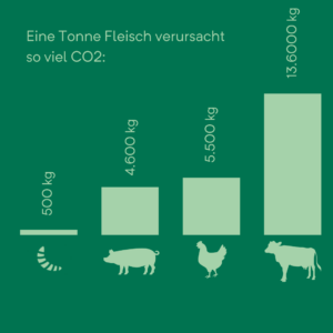 Infografik: So viel CO2 verursacht eine Tonne Fleisch.
