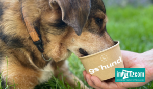 gs'hund ist das Eis für den Hund aus Wien.