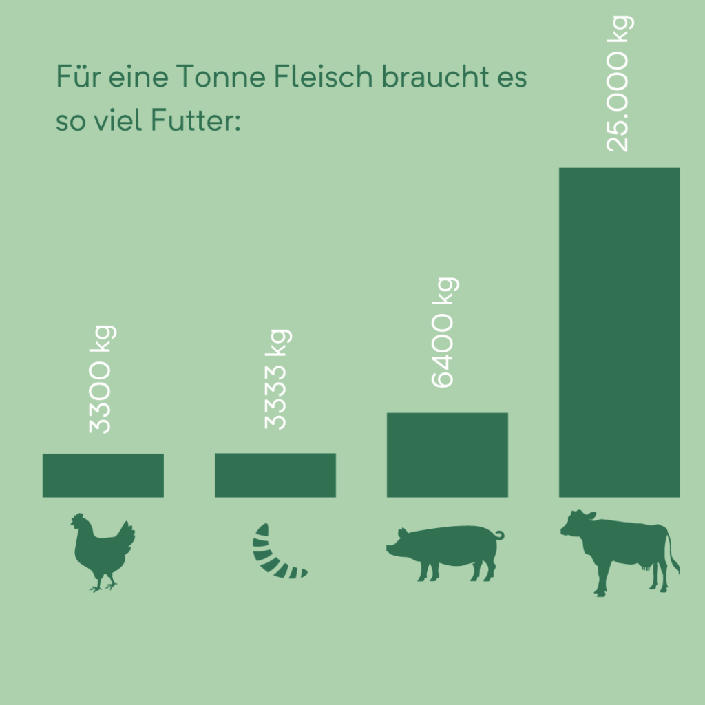 Infografik von gs’hund: So viel Futter braucht man für eine Tonne Fleisch.