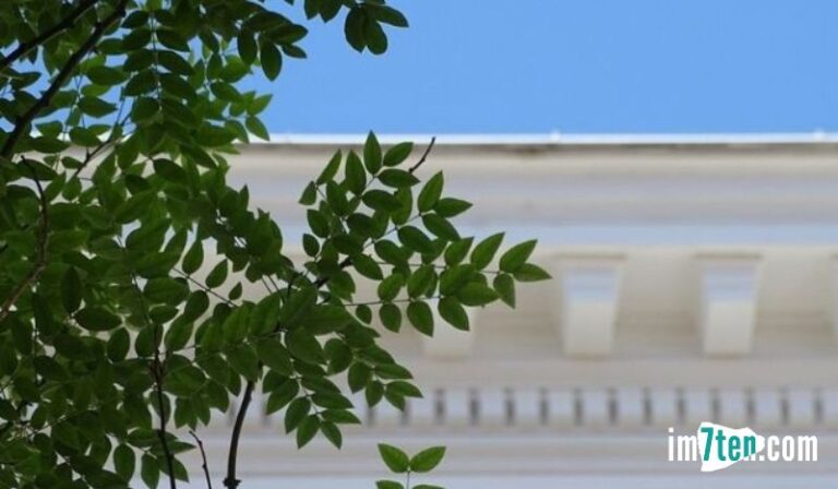Staycation-Tipps für Deinen Urlaub zu Hause am Neubau in Wien.