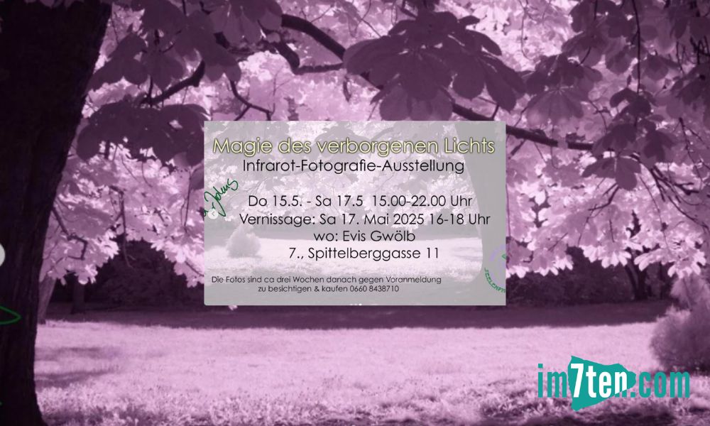 im7ten-Event, Evis Punschgwölb