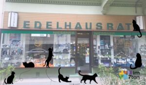 Am 8. August ist Weltkatzentag, deshalb besucht die im7ten-Redaktion das Geschirr Geschäft in der Kirchengasse 9A, wo ein Kater namens Ramses wohnt.
