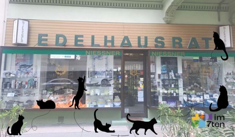 Am 8. August ist Weltkatzentag, deshalb besucht die im7ten-Redaktion das Geschirr Geschäft in der Kirchengasse 9A, wo ein Kater namens Ramses wohnt.