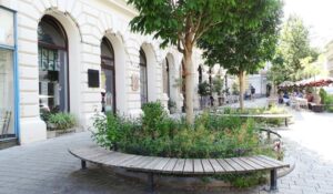 Sitzen, schauen, schlemmen und genießen Foto: © Veronika Fischer