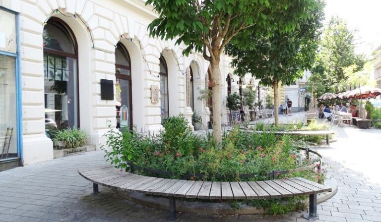 Sitzen, schauen, schlemmen und genießen Foto: © Veronika Fischer