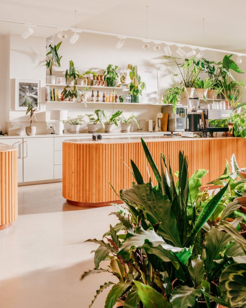 Willkommen in der Calienna-Oase für Kaffeegenuss. © Julius Hirtzberger