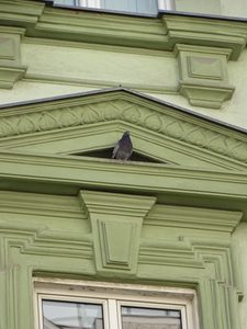 Im Erdgeschoss wacht Kater Ramses, auf dem Fassadenvorsprung hält eine Taube Wache. Foto: © Veronika Fischer